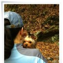 더치치 이미지