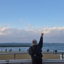 효도프라자 | 3개월만에 또 후쿠오카(독박효도란..)