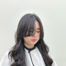 이비스헤어미니