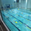 부산적십자회관수영장 이미지