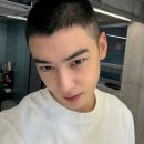 오다니