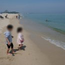 솔향기바다 이미지