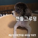 젠틀그루밍 이미지