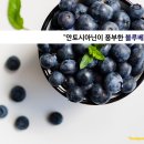 최강푸드 이미지