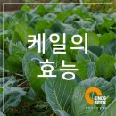 (주)카인즈바이오틱스 이미지