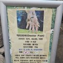 [충북 청주시] 청주나들이: 쥬니멀동물원 / 청주데이트