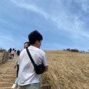 4월 제주도 여행/유채꽃 편하게 즐기기/두돌아기 가족여행