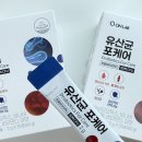새로운건강케어 | "건강검진 혈당 경고받고 시작한 '유산균포케어', 배 꼬르륵까지 잡은 후기"
