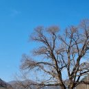 청송1리 마을회관 이미지