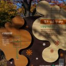 시청앞 가로수길 이미지