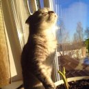 매직바디짐 이미지