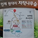 인제 원대봉 네이버블로그