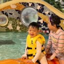 롯데워터파크길L 네이버블로그