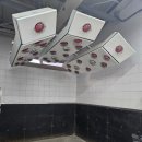 엘엠에스스테이블