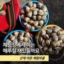 조금 나올 줄 알았는데 "계속 나옵니다", 선재 어촌 체험마을