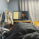 제부도펜션 벚꽃 | [제부도] 제부도벚꽃펜션 따뜻하고 아늑했던 제부도펜션추천 핀란드식 사우나 후기