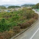약산땅골흑염소농장 | 전남광주특별시 완도군 약산면 우두리(여동리마을앞 약산일주로변)계획관리지역 가축사육제한구역 밭...
