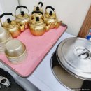 대가생태랑동태랑 이미지