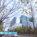 유원114공인중개사사무소 이미지