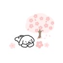 천안농협원성동클린주유소 이미지