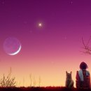 나의 별 이미지