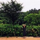 안단테 홍천캠핑장 이미지