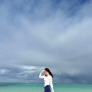 피쉬스토어 이미지