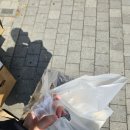 [리뷰] 구리 정기배송 도시락 샐러드 맛집 헬로푸드 후기 및 구리 도시락 샌드위치 추천