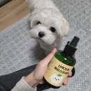 산책가개 이미지