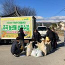종합농산물 이미지