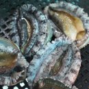 전복미가 이미지