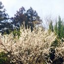 아진유통 이미지