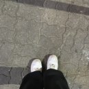 대영구두 이미지