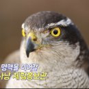 매사냥체험홍보관 이미지