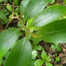 호근목장 이미지