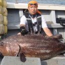 원낚시백화점 이미지