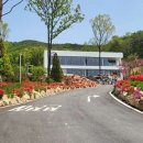 마운틴관광농원 이미지