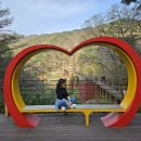 좌구산자연휴양림 이미지