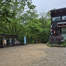 새생명힐링센터 | 강원도 곰배령 탐방로 다녀왔어요! 야생화 가득한 힐링 산행