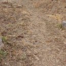 장군산길 이미지