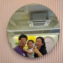 댕댕# | 믿고 먹이는 대전 강아지 수제간식 댕댕과자점 후기