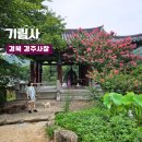 버스정류소_동교동삼거리 | 경북 원효대사 경주사찰 애견동반가능 신라역사 함월산 기림사