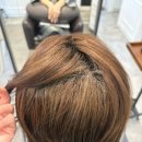 삼릉초등학교 | 강남미용실 추천 디르엘 청담 세빈 디자이너에게 염색 솔직 후기