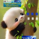 SB광고 이미지