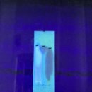 영재약국 이미지