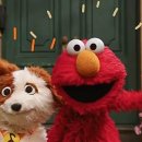 G.O.M.E.T.263-2 이미지