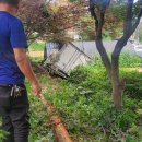 군서밧데리 이미지