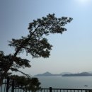 스테이 사선 이미지