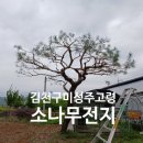 예솔조경 이미지