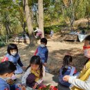 초롱이 밥상 이미지